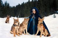 Im Zeichen der Lilie – Jeanne de Beauvais (Rosanna Schiaffino) ist in den Wald geflüchtet und wird – wie durch ein Wunder – von den dort lebenden Wölfen verschont.