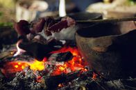Das Steinzeit-Menü – Durch den Wechsel zu Ackerbau und Viehzucht veränderte sich die Ernährung unserer Vorfahren grundlegend.