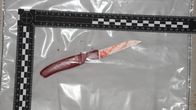 Ermittler! – Die Kriminaltechniker finden am rechten Fuß der Leiche ein blutverschmiertes Brotmesser mit rotem Griff. Es stammt aus der Küche des Opfers. Es ist die Tatwaffe, mit der ihr nach einem Kampf die Kehle durchschnitten wurde.