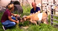 Bauer, ledig, sucht... – Bruno (r.)