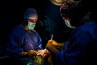 Autopsy - Prominente Todesfälle – Saving lives in the emergency room in night shift - doctors performing surgery.