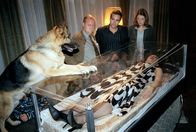 Kommissar Rex – Astrid Wimmer (Doris Pascher, liegend) liegt in einem gläsernen Sarg und ist kurz von dem Ersticken, als Rex, Kunz (Martin Weinek, l.), Marc (Alexander Pschill, 2.v.r.) und Niki (Elke Winkens, r.) eintreffen.