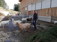 Servus Reportage – Servus Reportage (2019)