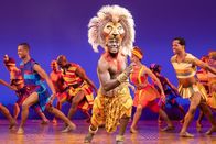 Benissimo – The Lion King