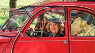 Reiterhof Wildenstein – Ich wohne jetzt hier: Chaos-Tante Michi (Michaela May) kehrt aus Frankreich zurück.