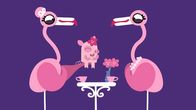 Animanimals – Die Flamingos sind ganz entzückt von dem niedlichen, kleinen Schweinchen.