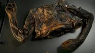 Rätselhafte Tote – Clonycavan Mann - eine 2500 Jahre alte Moorleiche, und dafür sehr gut erhalten. Doch was ist ihr Geheimnis? Warum ist die Moorleiche entzweit gefunden worden?