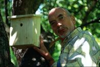 Löwenzahn Classics – Peter (Peter Lustig) bringt einen Nistkasten für Sperlinge in seinem Garten an, selbst gebaut natürlich.
