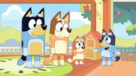 Bluey – L-R: Bandit, Chilli, Bingo, Bluey