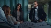 Blue Bloods - Crime Scene New York – Blue Bloods - Crime Scene New York (2024)