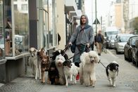 Wuff - Folge dem Hund – Als Hundesitter ist Ex-Fußball-Profi Oli (Frederick Lau) mit der Meute auf den Straßen Berlins unterwegs.