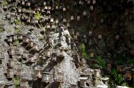 Die Farben Chinas – Zur Farbe Grün gehört in China der Frühling - die Zeit, in der die wilden Bienen im Wald von Shennongjia ausschwärmen und neue Behausungen suchen.