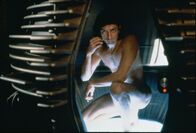 Die Fliege – Seth Brundle (Jeff Goldblum)