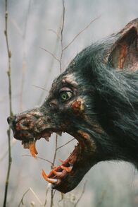 Ginger Snaps Back: The Beginning – Ginger und ihre Schwester Brigitte flüchten in ein Fort, welches später von wilden Werwölfen angegriffen wird.