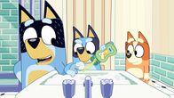 Bluey – L-R: Bandit, Bluey, Chilli