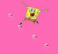 SpongeBob Schwammkopf – Fr, 02.09., 20:05 Uhr