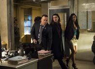Blue Bloods - Crime Scene New York – Blue Bloods - Crime Scene New York (2014)