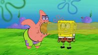 SpongeBob Schwammkopf – L-R: Patrick, SpongeBob