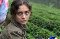 Sibel – Sibel (2018)