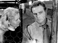 Die Faust im Nacken – In Edie (Eva Marie Saint) findet Terry Malloy (Marlon Brando) einen Menschen, der dem gescheiterten Boxer den Wert von Solidarität und Ehre vorlebt.