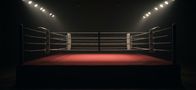 WWE Rivals – Sa, 25.07., 23:50 Uhr