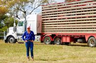 Tasmanien - Australiens grüne Insel – Sarah Woodruff ist Truckerin aus Leidenschaft. Bis zu 400 Schafe passen in ihren Riesen-LKW.