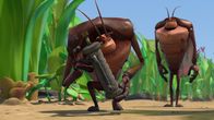 Insectibles – Insectibles (2014-2016)