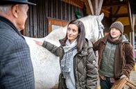 Sturm der Liebe – Durch die Art, wie Carolin (Katrin Anne Heß, M.) sich mit Gerry (Johannes Huth, r.) um das kranke Pferd kümmert, gewinnt Werner (dirk Galuba, l.) einen neuen Eindruck von ihr.