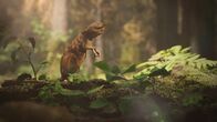 Katastrophen der Erdgeschichte – Die Multituberculata - eine Gruppe nagetierähnlicher Säugetiere - überleben dank ihrer geringen Körpergröße den katastrophalen Asteroideneinschlag am Ende der Kreidezeit.