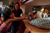 Modern Family – Modern Family (2013)