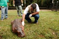 Tierische Eroberer – Fr, 07.11., 16:15 Uhr