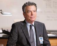 Grey's Anatomy – Dr. David Hamilton (Peter Gallagher)