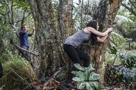 Hawaii Five-0 – Steve McGarrett (Alex O'Loughlin, l.) schwebt in Lebensgefahr. Kann Lt. Catherine Rollins (Michelle Borth, r.) ihn noch retten?