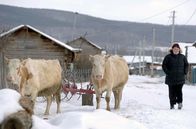 Re: – Dorfärztin Olga auf dem Arbeitsweg. Sie lebt in Ust-Talma, einem sibirischen Dorf mitten in der Taiga.