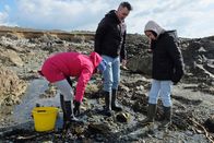 Zu Tisch ... – Zu Tisch Guernsey – Die Kanalinseln Familie Sholl auf der Suche nach Seeohren Copyright: SRF/Berlin Producers Media/Caroline Payne