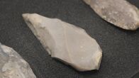 Lost Beasts - Riesen der Urzeit – Brachten die Neandertaler mit solchen Speerspitzen die Giganten der Eiszeit zu Fall?