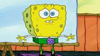 SpongeBob Schwammkopf – Sa, 04.10., 05:00 Uhr