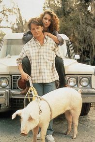 Doc Hollywood – Dr. Stone waere gern so beruehmt wie Schoenheitschirurgen. Aber unterwegs nach Los Angeles muss er wegen eines Unfalls in einem Provinznest haengen bleiben. Da verliebt er sich in die schoene Lou.