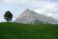 Bauer, ledig, sucht... – s