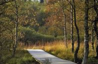 Herrliches Hessen – Im Roten Moor.