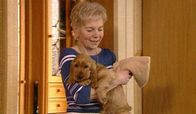 Unser Hund – Die Züchterin hat Hundefreunde gefunden, die so einen Spanielwelpen in ihrer Familie aufnehmen wollen.