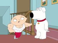 Family Guy – Brian (r.) weiß nicht so recht, was er von dem muskelbepackten Stewie (l.) halten soll ...