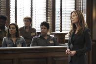 Bull – Sylvia Banner (Dana Delany)