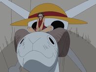One Piece – Fr, 02.05., 16:50 Uhr