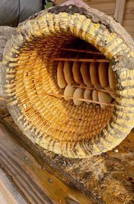 Handwerkskunst! – Innenleben eines Bienenkorbs mit den eingebauten Naturwaben