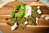 Schmatzo – Zucchini-Taler.