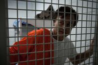 Prison Breaks - Die wahren Geschichten – Diese Serie mit hoher Oktanzahl erzählt die dramatischen Geschichten einiger der bekanntesten Jailbreaks in der jüngeren Geschichte