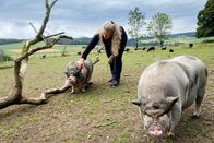 SRF bi de Lüt: Echte Tierhelden – Zoo Zahir: Anita Hirschi mit den beiden Minipiggs Josephinchen und Napoleon (v.l.n.r.)