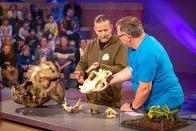 1, 2 oder 3 – Tierarzt Dr. Markus Baur (l.) zeigt Elton (r.) die unterschiedlichen Zähne von Löwen, Kängurus und Mäusen.