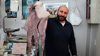 Verrückt nach Meer – Ein Verkäufer auf einem Markt in Cadiz in Spanien präsentiert einen riesigen Tintenfisch. Weiteres Bildmaterial erhalten Sie unter www.br-foto.de.